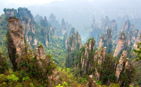 stone-forest-china-zhangjiajie