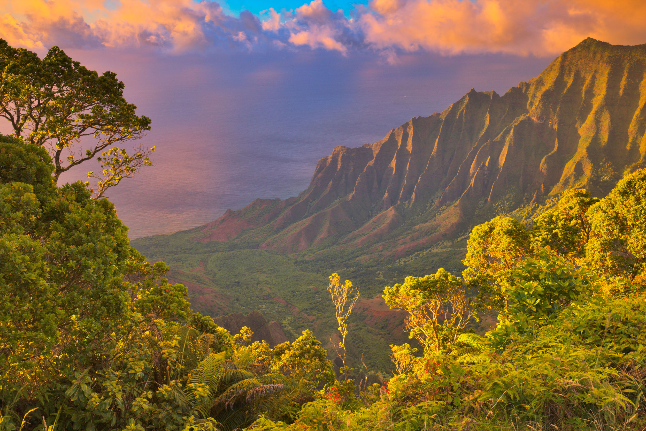 Foto: hakaimagazine
